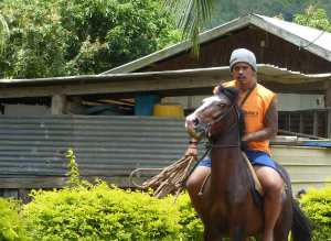 NH Taipivai à cheval2